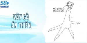 Vảy Gà Án Thiên - Dấu Hiệu Của Một Chiến Kê Đầy Triển Vọng